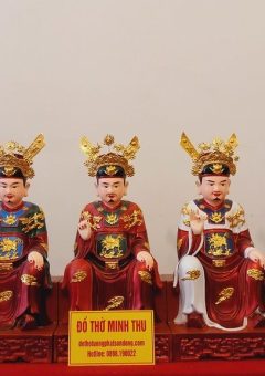 ngu-vi-ton-quan