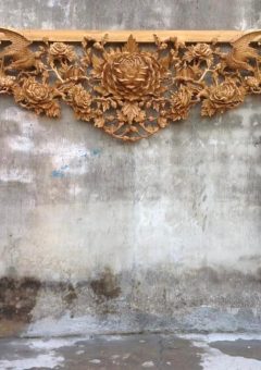 Cửa Võng Hồng Trĩ 3